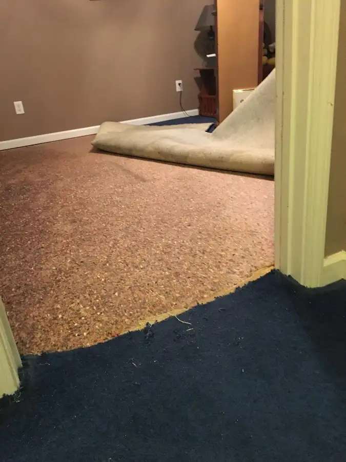 Carpet pad removal revealing water damage during Drying & Dehumidification in Oak Ridge